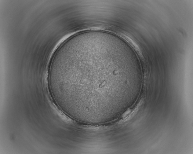 X0000112770948200909031608