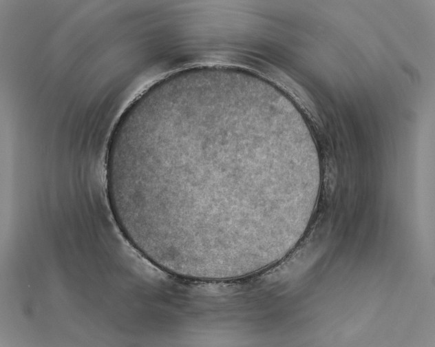 X0000112770950200909031608