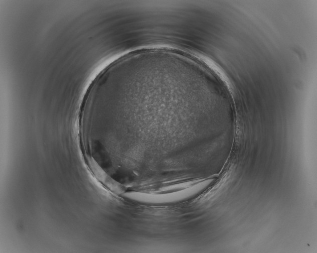 X0000112770951200909031608