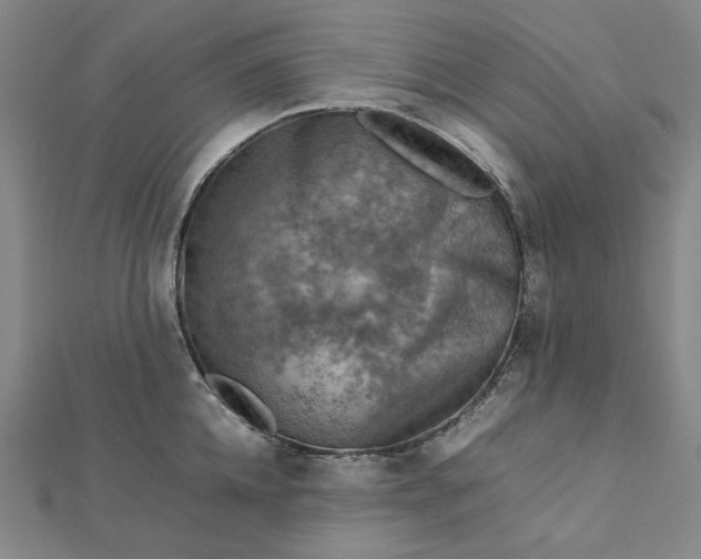 X0000112770952200909031608