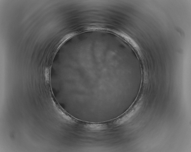 X0000112770953200909031608