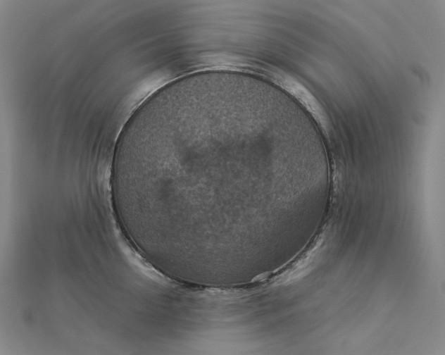 X0000112770954200909031608