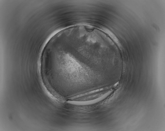 X0000112770955200909031608