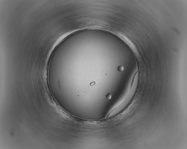 X0000112770956200909031608