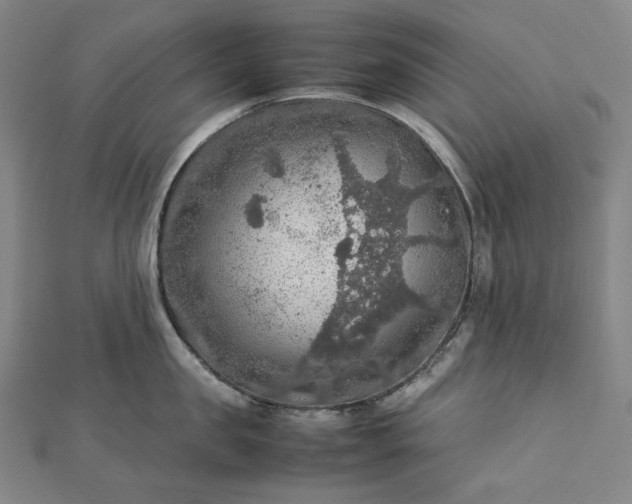 X0000112770957200909031608