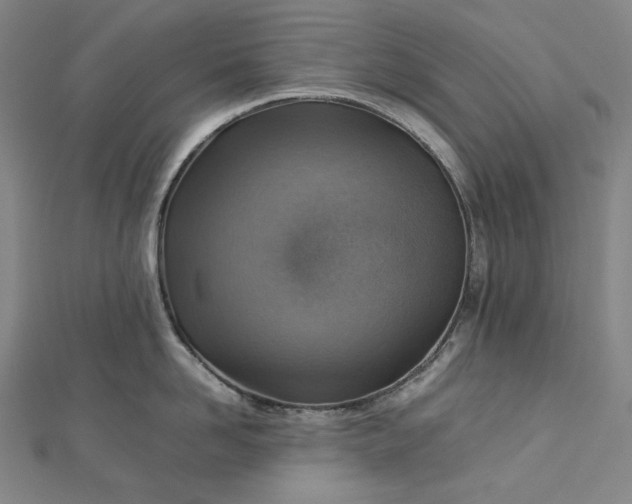 X0000112770958200909031608