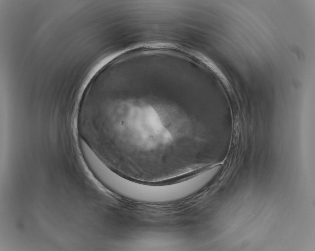 X0000112770959200909031608