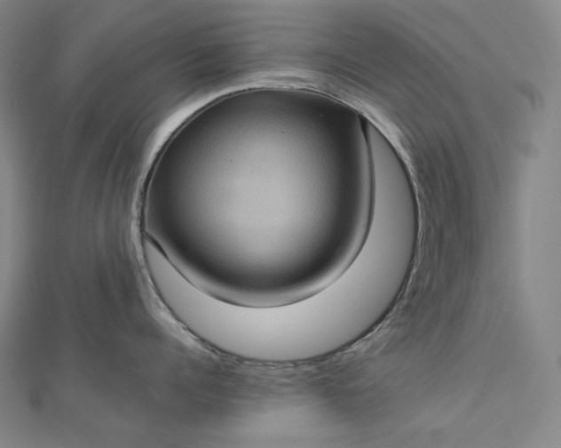 X0000112770960200909031608