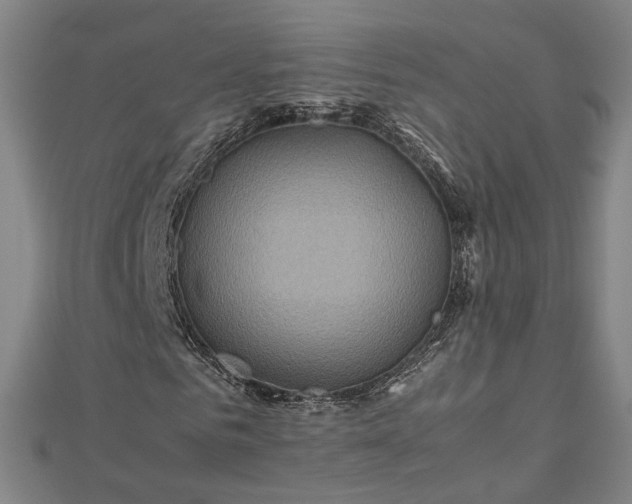 X0000112770961200909031608