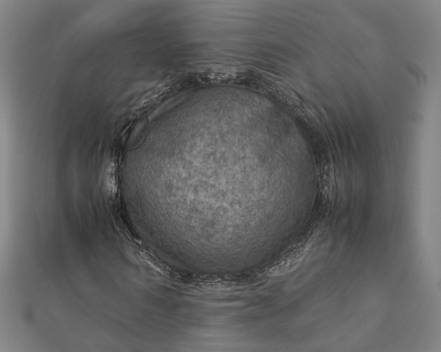 X0000112770962200909031608