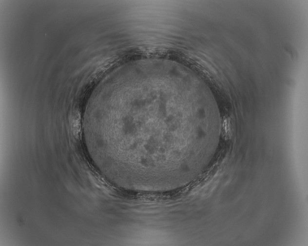 X0000112770963200909031608