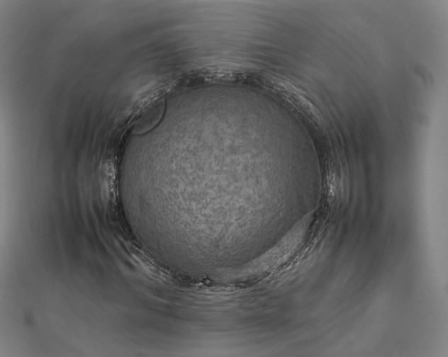 X0000112770964200909031608