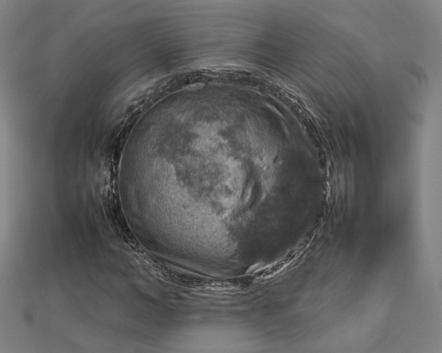 X0000112770966200909031607