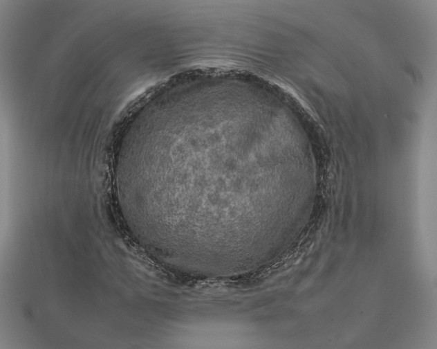 X0000112770967200909031607