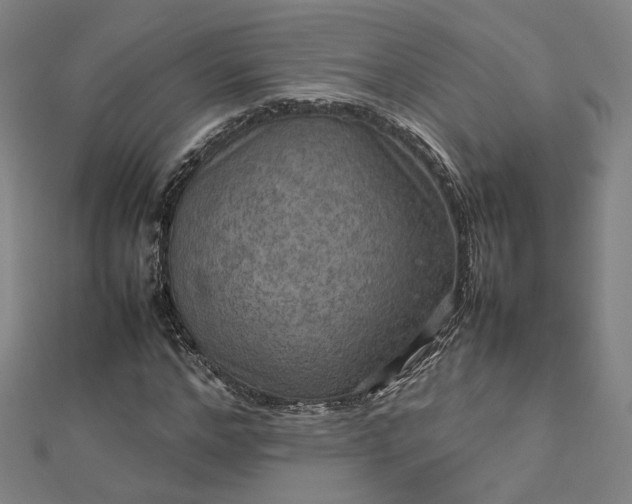 X0000112770968200909031607