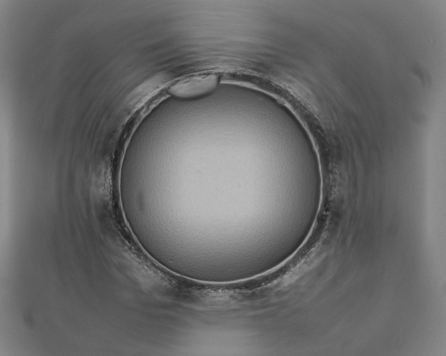 X0000112770969200909031607