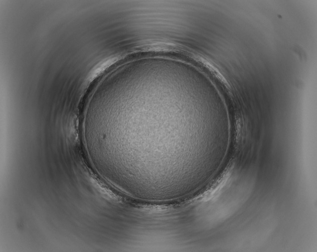 X0000112770970200909031607