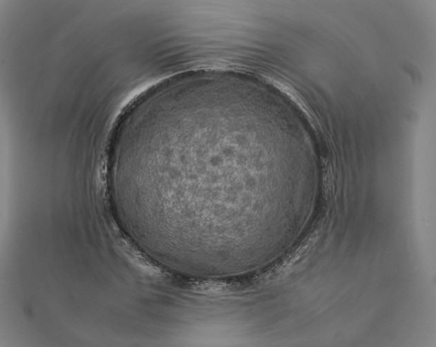 X0000112770971200909031607