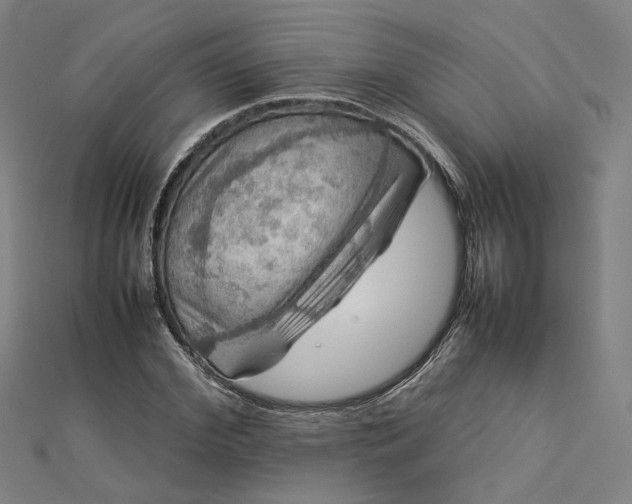 X0000112770972200909031607