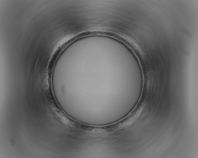 X0000112770974200909031607