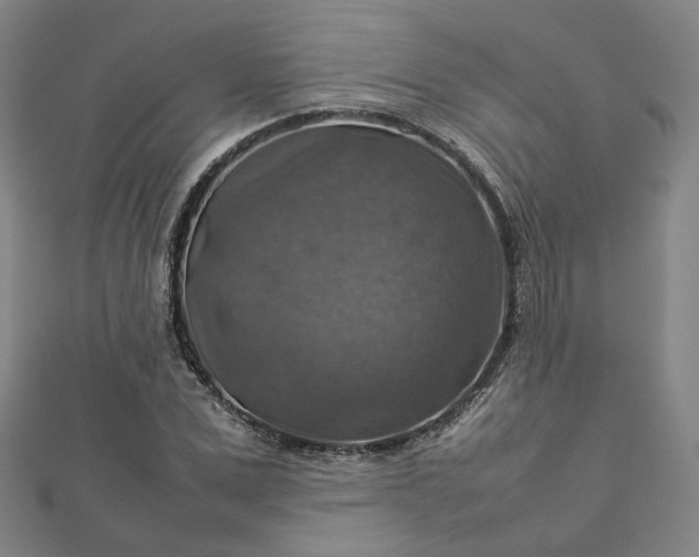 X0000112770975200909031607