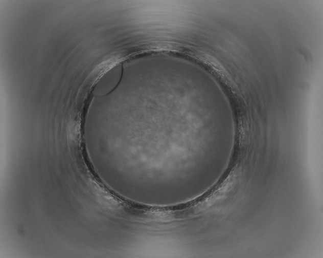 X0000112770977200909031607