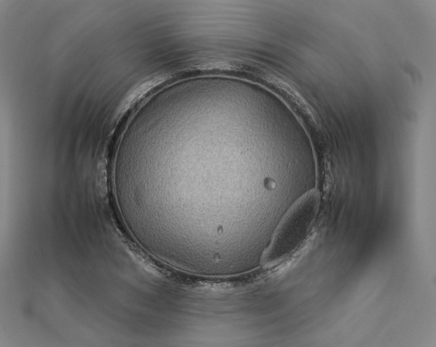 X0000112770978200909031607