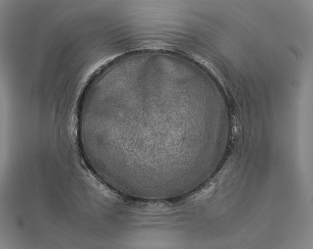 X0000112770979200909031607