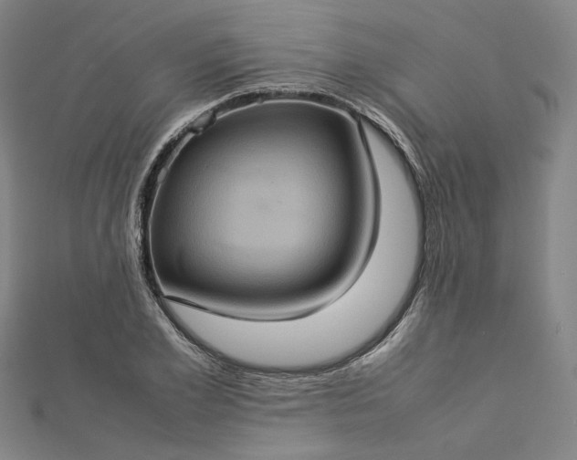 X0000112770981200909031607