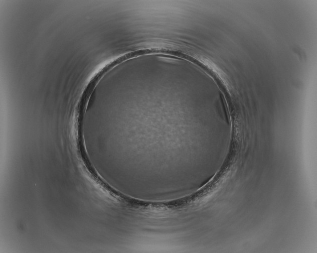 X0000112770983200909031607