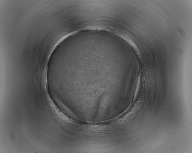 X0000112770984200909031607