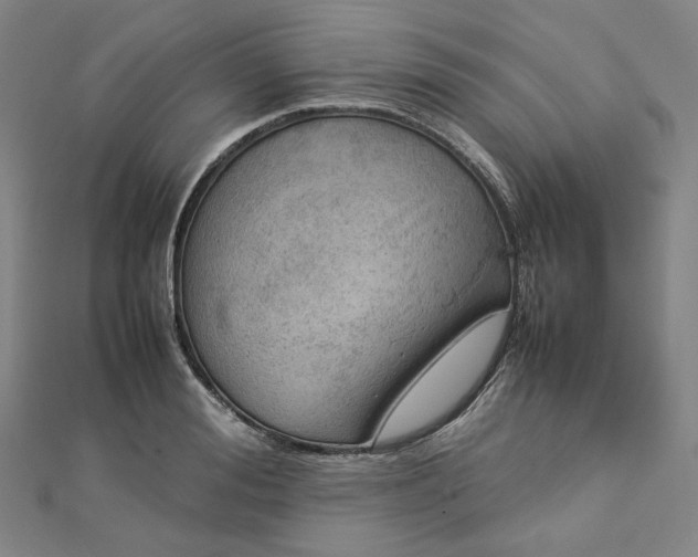 X0000112770988200909031607