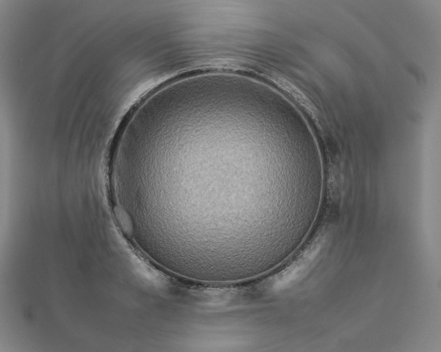 X0000112770989200909031607