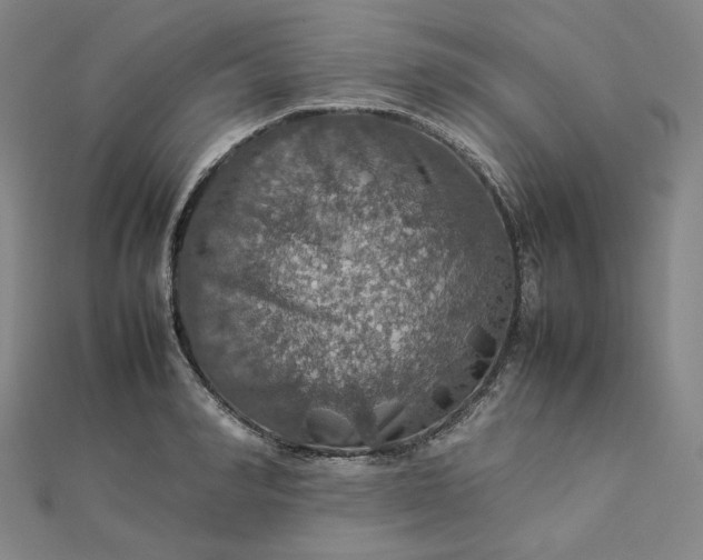 X0000112770990200909031607