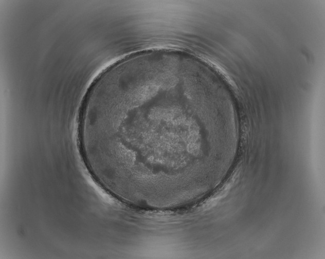 X0000112770991200909031607