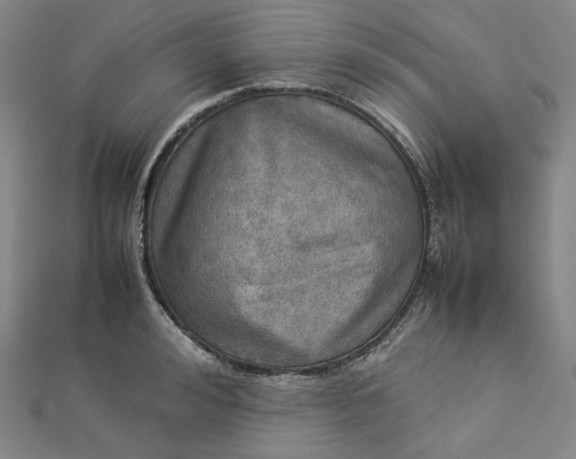 X0000112770992200909031607