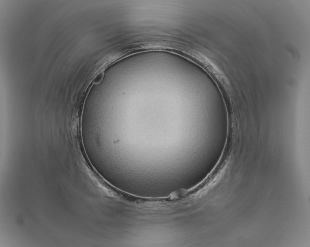 X0000112770993200909031607