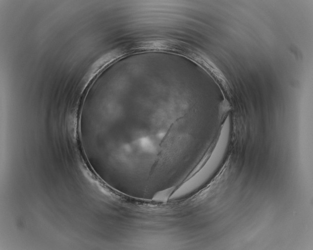 X0000112770994200909031607