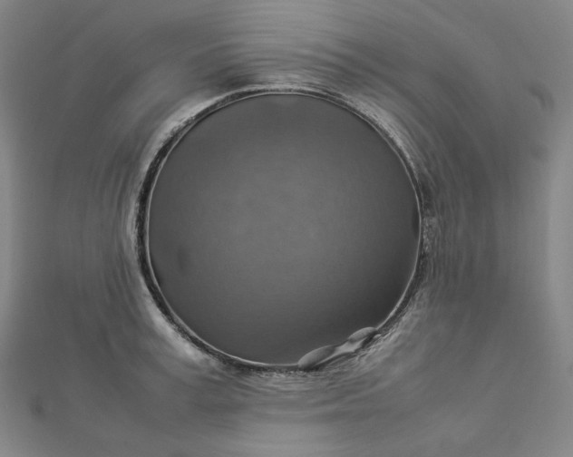 X0000112770995200909031607