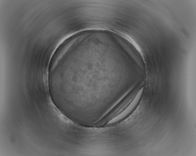 X0000112770996200909031607