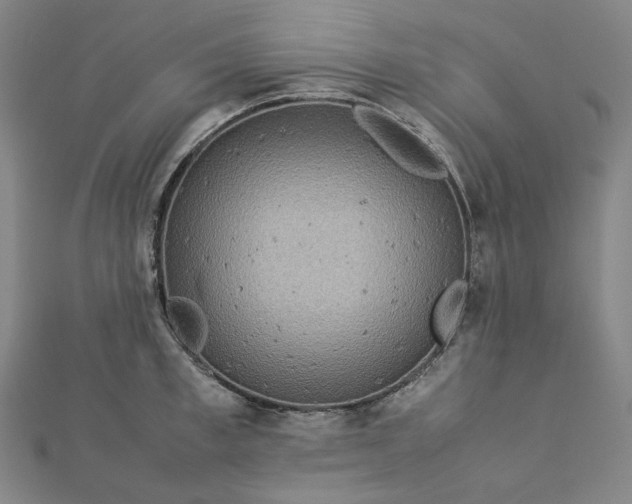 X0000112770997200909031607