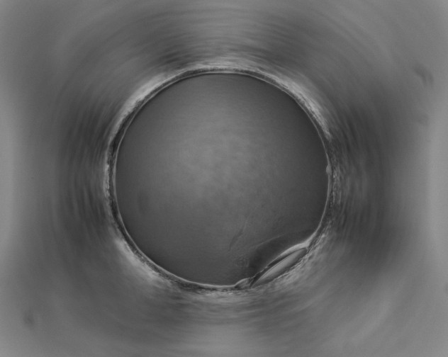 X0000112770998200909031607