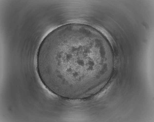 X0000112770999200909031607