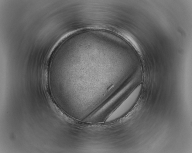 X0000112771000200909031607