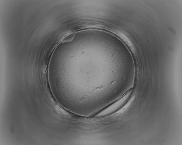 X0000112771001200909031607