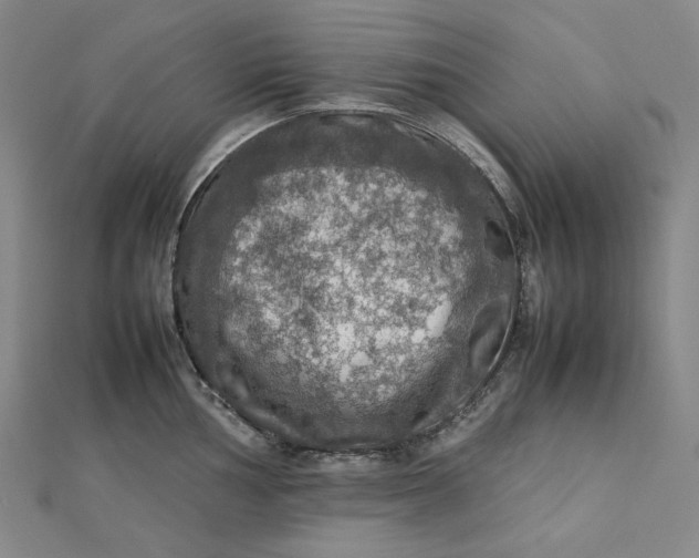 X0000112771002200909031607