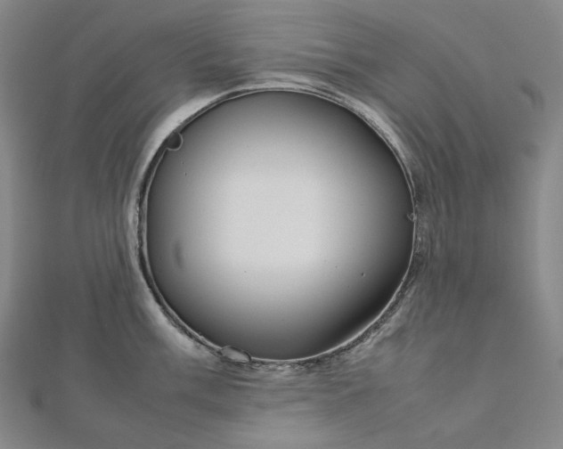 X0000112771003200909031607