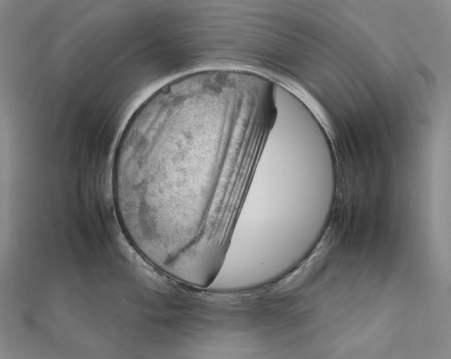 X0000112771004200909031607