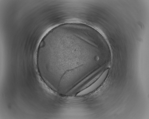 X0000112771008200909031607