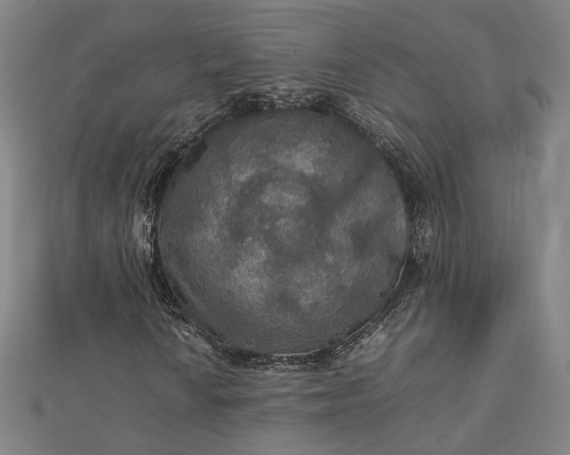 X0000112771010200909031606